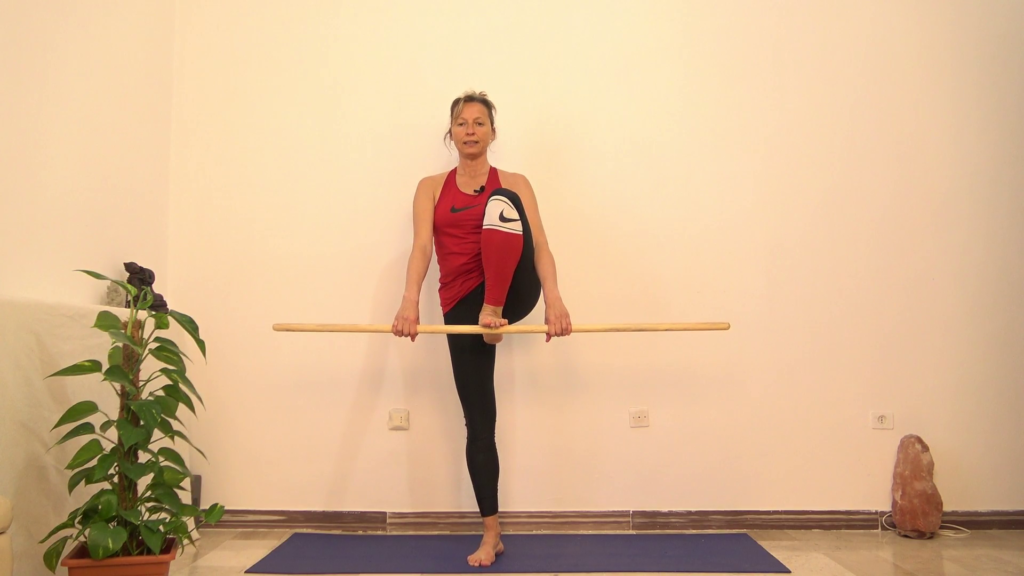 713F1De3E79654D9E20E3B8C5A11618D